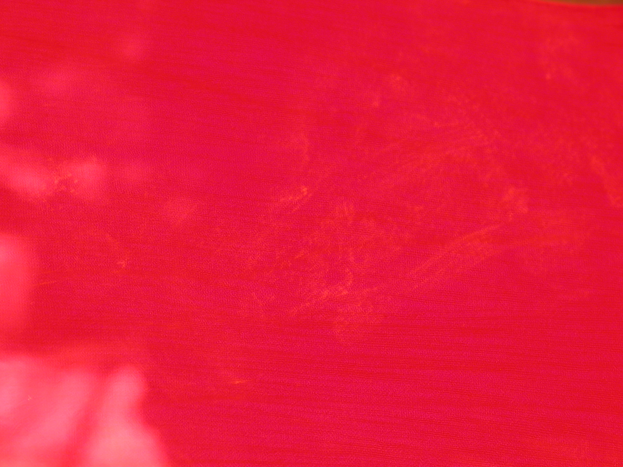 DSCN5525.JPG